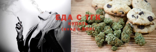 индика Богородск