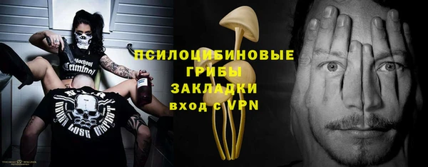 бошки Богданович