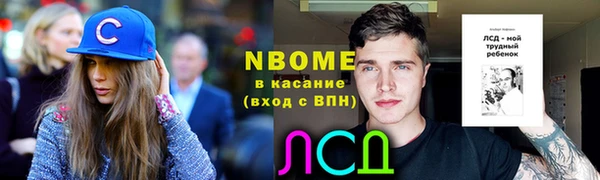 прущие грибы Богородицк