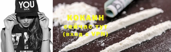 индика Богородск