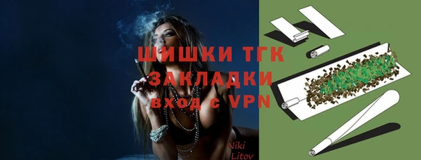 индика Богородск