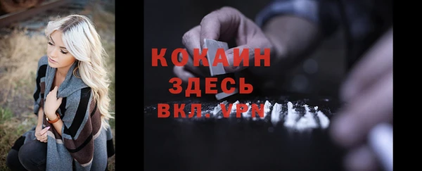 прущие грибы Богородицк