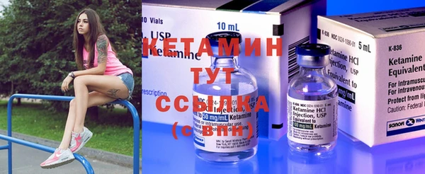 прущие грибы Богородицк