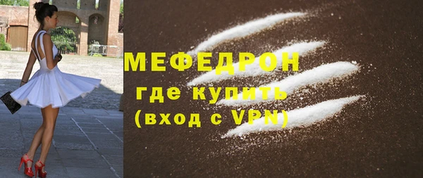 индика Богородск