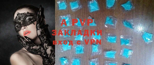 прущие грибы Богородицк