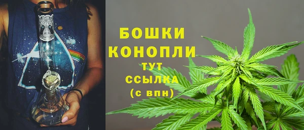 индика Богородск