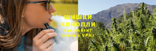 индика Богородск