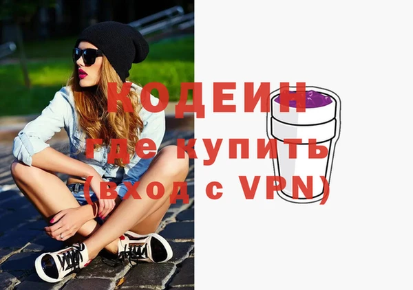 индика Богородск