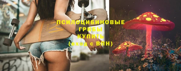 индика Богородск